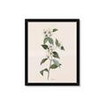 Picture of Swaying Foliage III _GroupedProduct_Rectangle_Portrait_Framed_Matted_