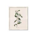 Picture of Swaying Foliage III _GroupedProduct_Rectangle_Portrait_Framed_Matted_