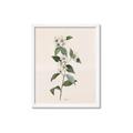 Picture of Swaying Foliage III _GroupedProduct_Rectangle_Portrait_Framed_Matted_