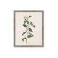 Picture of Swaying Foliage III _GroupedProduct_Rectangle_Portrait_Framed_Matted_