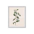 Picture of Swaying Foliage III _GroupedProduct_Rectangle_Portrait_Framed_Matted_