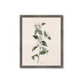 Picture of Swaying Foliage III _GroupedProduct_Rectangle_Portrait_Framed_Matted_
