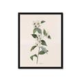 Picture of Swaying Foliage III _GroupedProduct_Rectangle_Portrait_Framed_Matted_