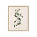 Picture of Swaying Foliage III _GroupedProduct_Rectangle_Portrait_Framed_Matted_
