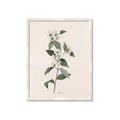 Picture of Swaying Foliage III _GroupedProduct_Rectangle_Portrait_Framed_Matted_