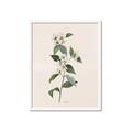 Picture of Swaying Foliage III _GroupedProduct_Rectangle_Portrait_Framed_Matted_
