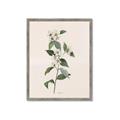 Picture of Swaying Foliage III _GroupedProduct_Rectangle_Portrait_Framed_Matted_