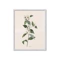 Picture of Swaying Foliage III _GroupedProduct_Rectangle_Portrait_Framed_Matted_