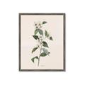 Picture of Swaying Foliage III _GroupedProduct_Rectangle_Portrait_Framed_Matted_