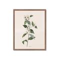 Picture of Swaying Foliage III _GroupedProduct_Rectangle_Portrait_Framed_Matted_