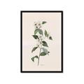 Picture of Swaying Foliage III _GroupedProduct_Rectangle_Portrait_Framed_Matted_