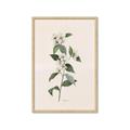 Picture of Swaying Foliage III _GroupedProduct_Rectangle_Portrait_Framed_Matted_