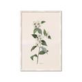 Picture of Swaying Foliage III _GroupedProduct_Rectangle_Portrait_Framed_Matted_
