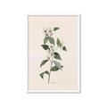 Picture of Swaying Foliage III _GroupedProduct_Rectangle_Portrait_Framed_Matted_