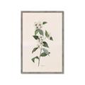 Picture of Swaying Foliage III _GroupedProduct_Rectangle_Portrait_Framed_Matted_