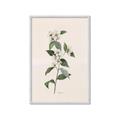 Picture of Swaying Foliage III _GroupedProduct_Rectangle_Portrait_Framed_Matted_