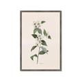 Picture of Swaying Foliage III _GroupedProduct_Rectangle_Portrait_Framed_Matted_