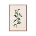 Picture of Swaying Foliage III _GroupedProduct_Rectangle_Portrait_Framed_Matted_