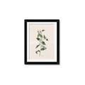 Picture of Swaying Foliage III _GroupedProduct_Rectangle_Portrait_Framed_Matted_
