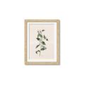 Picture of Swaying Foliage III _GroupedProduct_Rectangle_Portrait_Framed_Matted_