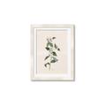 Picture of Swaying Foliage III _GroupedProduct_Rectangle_Portrait_Framed_Matted_