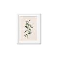 Picture of Swaying Foliage III _GroupedProduct_Rectangle_Portrait_Framed_Matted_