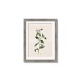 Picture of Swaying Foliage III _GroupedProduct_Rectangle_Portrait_Framed_Matted_