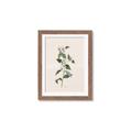 Picture of Swaying Foliage III _GroupedProduct_Rectangle_Portrait_Framed_Matted_