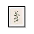 Picture of Swaying Foliage III _GroupedProduct_Rectangle_Portrait_Framed_Matted_