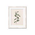 Picture of Swaying Foliage III _GroupedProduct_Rectangle_Portrait_Framed_Matted_