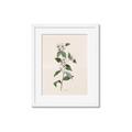 Picture of Swaying Foliage III _GroupedProduct_Rectangle_Portrait_Framed_Matted_