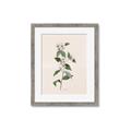 Picture of Swaying Foliage III _GroupedProduct_Rectangle_Portrait_Framed_Matted_