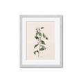 Picture of Swaying Foliage III _GroupedProduct_Rectangle_Portrait_Framed_Matted_
