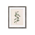 Picture of Swaying Foliage III _GroupedProduct_Rectangle_Portrait_Framed_Matted_