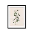 Picture of Swaying Foliage III _GroupedProduct_Rectangle_Portrait_Framed_Matted_