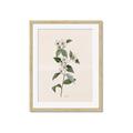 Picture of Swaying Foliage III _GroupedProduct_Rectangle_Portrait_Framed_Matted_