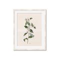 Picture of Swaying Foliage III _GroupedProduct_Rectangle_Portrait_Framed_Matted_