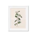Picture of Swaying Foliage III _GroupedProduct_Rectangle_Portrait_Framed_Matted_