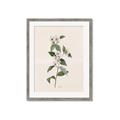 Picture of Swaying Foliage III _GroupedProduct_Rectangle_Portrait_Framed_Matted_