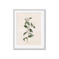 Picture of Swaying Foliage III _GroupedProduct_Rectangle_Portrait_Framed_Matted_