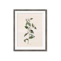 Picture of Swaying Foliage III _GroupedProduct_Rectangle_Portrait_Framed_Matted_
