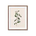 Picture of Swaying Foliage III _GroupedProduct_Rectangle_Portrait_Framed_Matted_