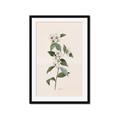 Picture of Swaying Foliage III _GroupedProduct_Rectangle_Portrait_Framed_Matted_