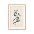 Picture of Swaying Foliage III _GroupedProduct_Rectangle_Portrait_Framed_Matted_
