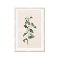Picture of Swaying Foliage III _GroupedProduct_Rectangle_Portrait_Framed_Matted_