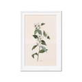 Picture of Swaying Foliage III _GroupedProduct_Rectangle_Portrait_Framed_Matted_