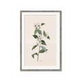 Picture of Swaying Foliage III _GroupedProduct_Rectangle_Portrait_Framed_Matted_