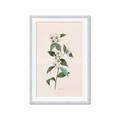Picture of Swaying Foliage III _GroupedProduct_Rectangle_Portrait_Framed_Matted_