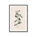 Picture of Swaying Foliage III _GroupedProduct_Rectangle_Portrait_Framed_Matted_