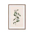 Picture of Swaying Foliage III _GroupedProduct_Rectangle_Portrait_Framed_Matted_